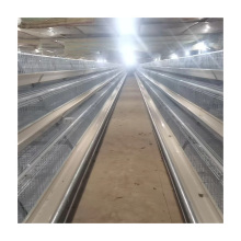 Affordable Battery Cage: TBB Factory's Popular Laying Hen Cage