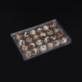 Återvinningsbara Quail Egg Cartons Klar plast äggbricka