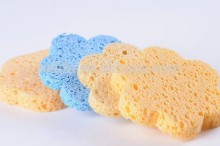 Natural cellulose sponge