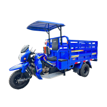 Tricycle With Top Cover