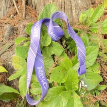 Custom Logo Lanyard Printing Machine