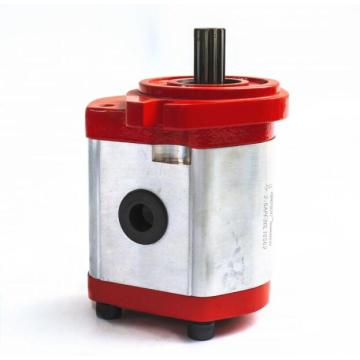 Hydraulic External Gear Pumps