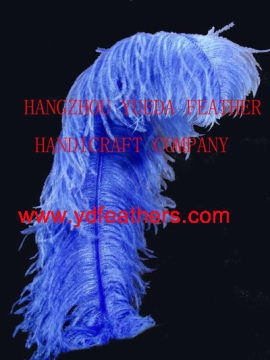 best quality south africa ostrich plume feather