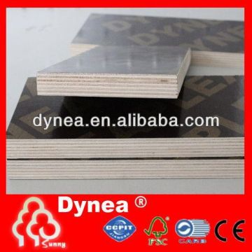 guangxi dyneaplex