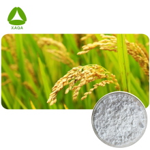 Natural Rice Bran Extract Ferulic Acid 98% Powder