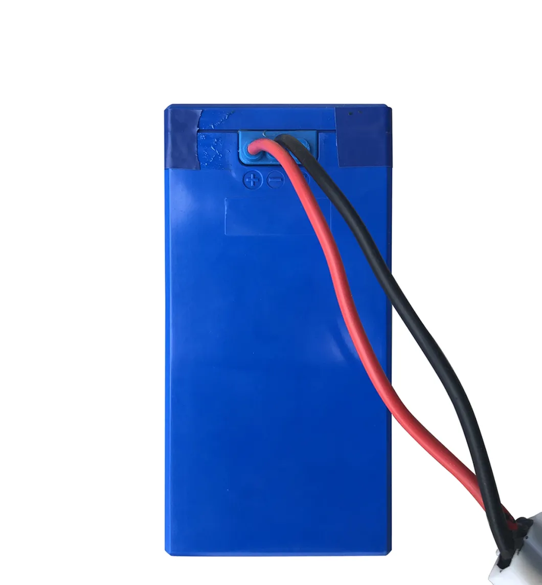 Evl Ncm Li-Polymer 48V 12.5ah Battery Pack for Light