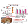 Fibre de tapioca soluble à la dextrine résistante