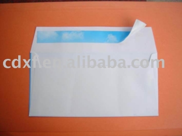 Self-Seal Envelope