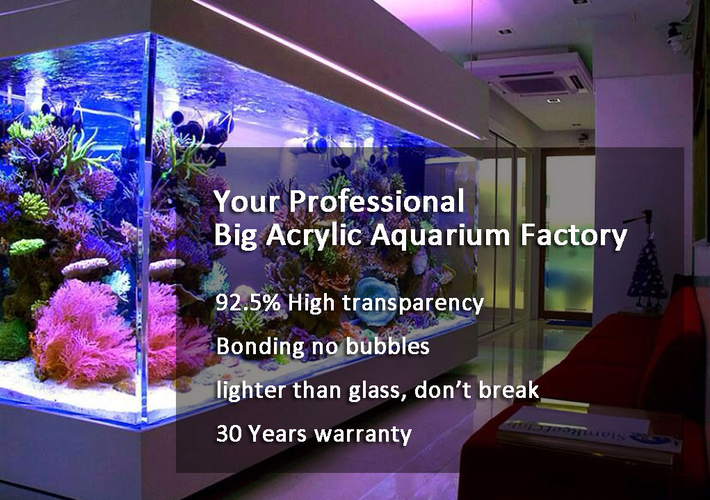 Acrylic Aquarium Tank