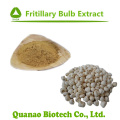 TendrellowEAF / Unibract Fritillary Birne Pulver Extrakt