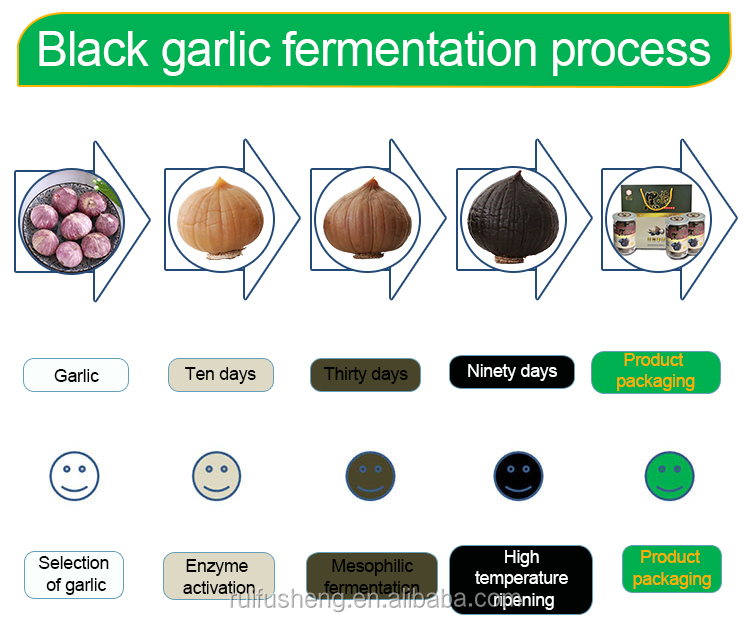 Additive Free Black Garlic Powder-Professional Export