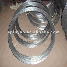 Stainless Steel Barbed Wire/Concertina Razor Barded Wire