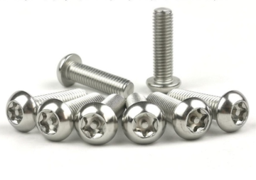 Stainless steel pan head torx screw