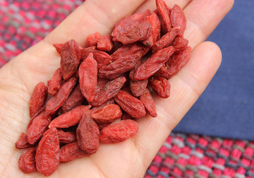 Blood Tonic ningxia goji berry