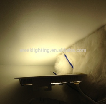 LED hanging ceiling lamps for home/ceiling light