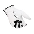 Golf gloves used by both men and women