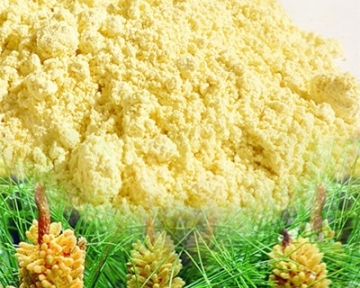 Factory supply Cell Wall Broken Pine Pollen Powder Cell-broken ratio>90%