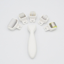 MNS 5 in 1 Cosmetic Needles Roller Kit