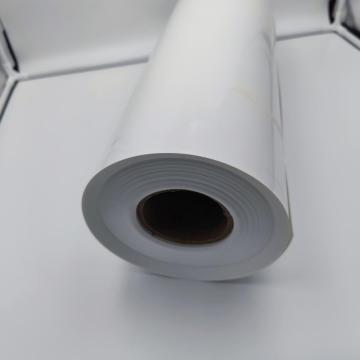 Rolo de folha de PP de plástico de polipropileno transparente