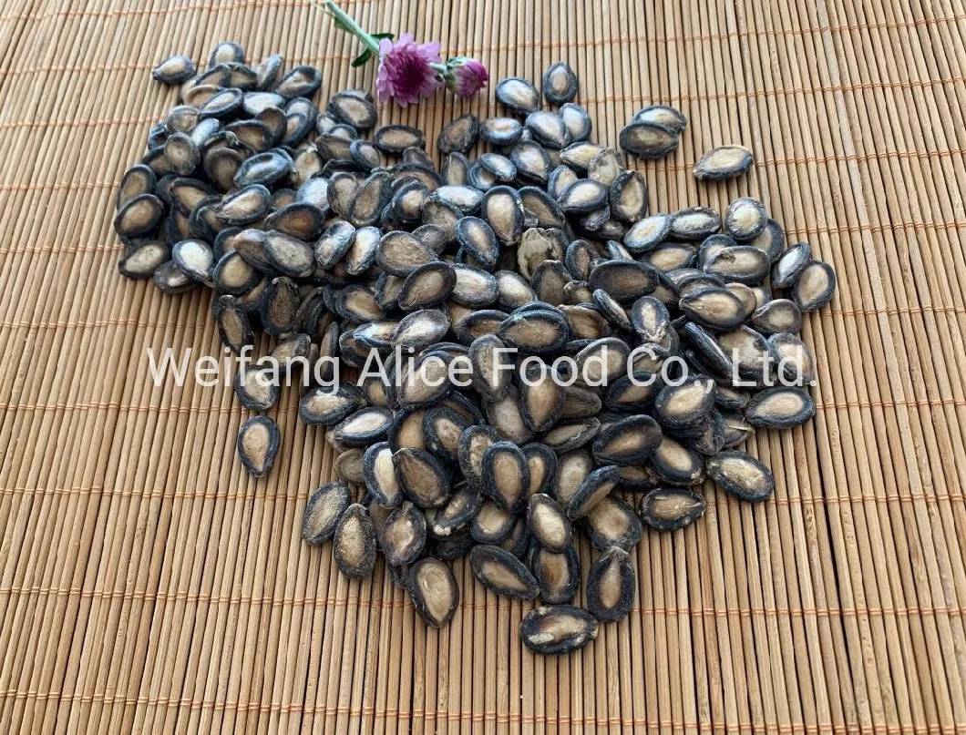 Chinese Black Watermelon Seeds in Big Size Bulk Price