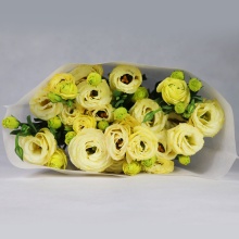 Yunnan Kunming Wholesale Fresh Cut Flowers: Eustoma for Florists & Wedding Decorations