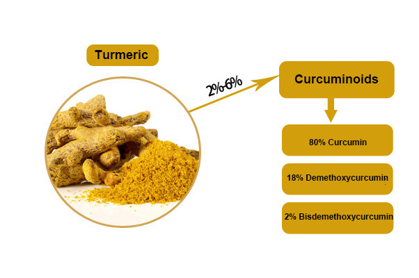 Insen Bundle Sale Curcumin Supplement Turmeric Curcumin Bioperine