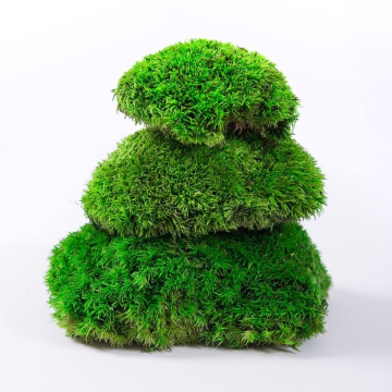 Factory Wholesale Preserved Bun Moss Dried Spanish White Hair Pole Moss for House Wall Decor