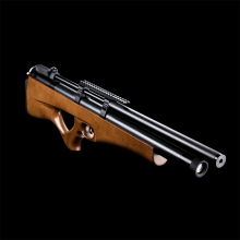 PCP Air Bullpup P10