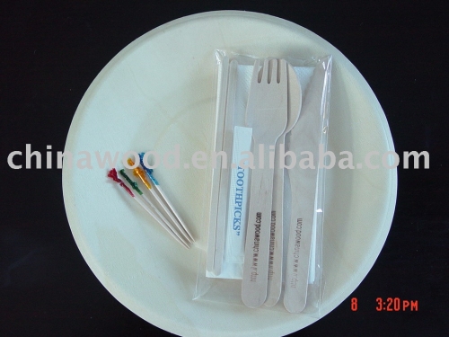 wooden disposable plate  YDP03C