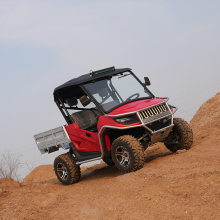 Manufacturer Electric UTV Farm 25 kW Electric UTV 4x4 Bed for Adult