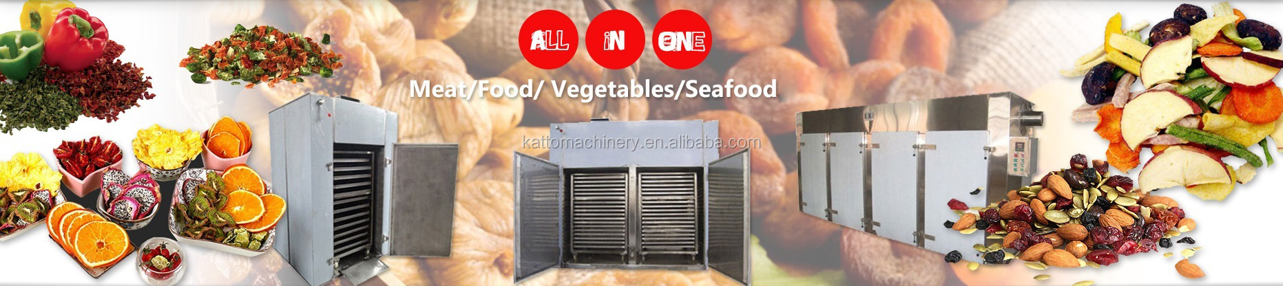 Automated Drying Machines For Fruit And Vegetables: Your Comprehensive ...
