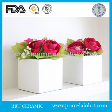 Ceramic Flower Pot Decorations Houseware