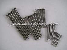 nails,common nails,common iron nails