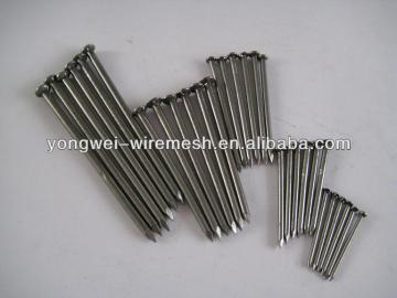 nails,common nails,common iron nails
