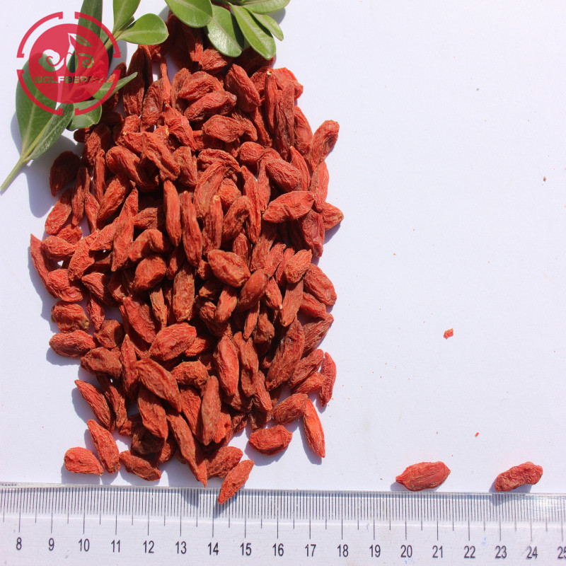 siêu thực phẩm hương vị thiên nhiên Thuốc trừ sâu thấp Goji Berries