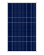 250W Ploy solar panel with low price