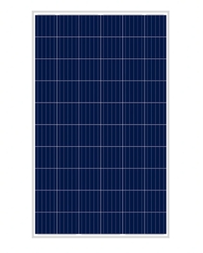 250W Ploy solar panel with low price