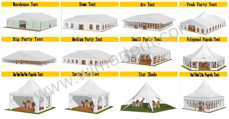 New Design Luxury Transparent 20m Big Dome Roof Tent (WM-DHT20M)