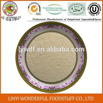 onion importers in singapore onion powder