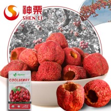 Freeze Dried Pitted Hawthorn Berry fruits