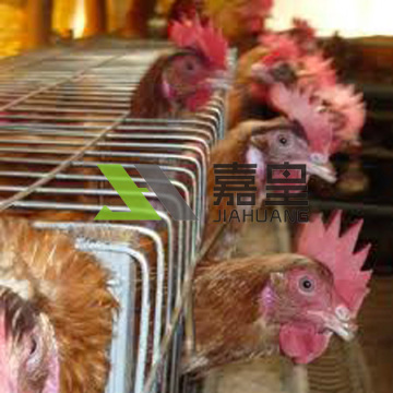 Chicken farm equipment /chicken cage