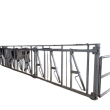 Preferred Direct Selling Hot Dip Galvanized Dairy Cow Head Locks