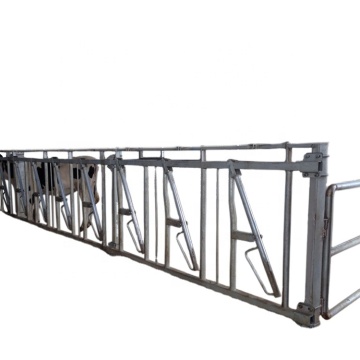 Preferred Direct Selling Hot Dip Galvanized Dairy Cow Head Locks