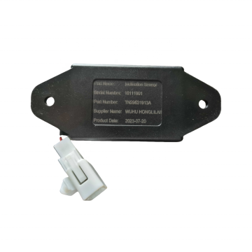 TN29631913A Inclination Sensor EMC Test for Vehicles