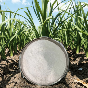 Feed Grade Rice Protein Powder 70% For Animals