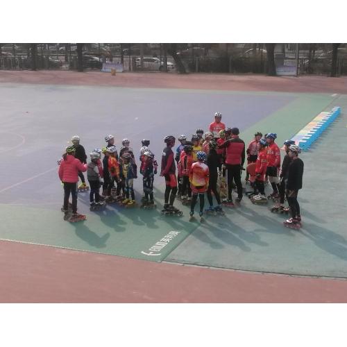 Ice Roller Court Sports Flooring Outdoor/Indoor Sports Court