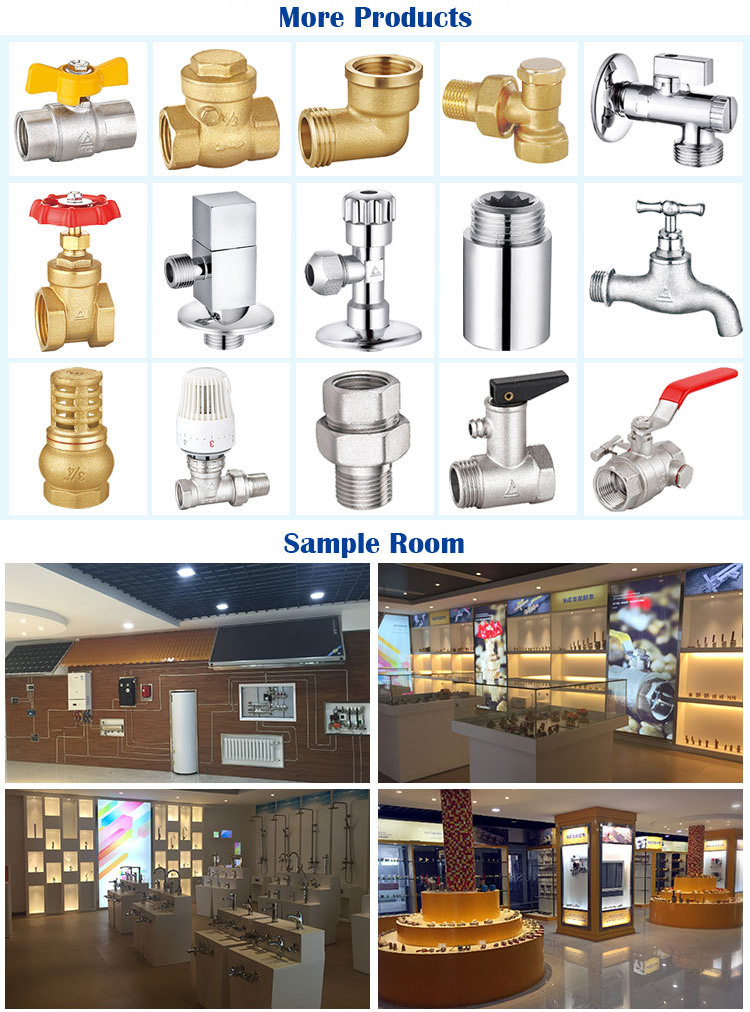 Back Pressure Brass Check Valve with Brass Core