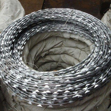 Concertina de hierro Barbed Razor Wire/Galvanized Concertinas