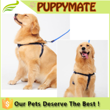 High Quality Wholesale Dog Collars and Leash, Dog Harness, Dog Leashes