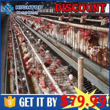 Design Pakistan Poultry Farm material and chicken use farm chicken for nigeria